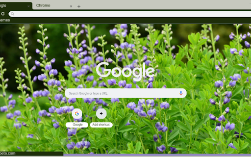 False Indigo screenshot 1