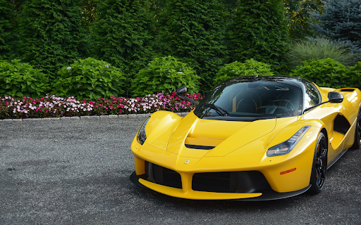 Ferrari screenshot 1