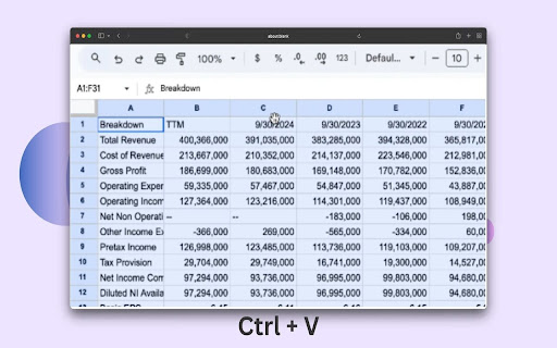 Financial Statement Scraper screenshot 1