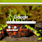 Fire-Bellied Toad logo