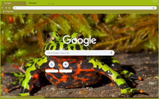 Fire-Bellied Toad screenshot 1
