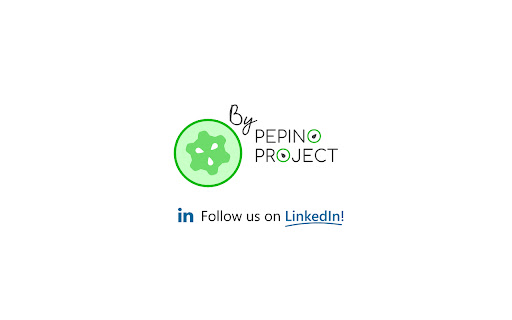Firu - WebTime Productivity Tracker screenshot 1