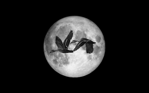 Flight Across the Moon screenshot 1