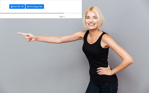 Flip Book for PDF Files screenshot 1