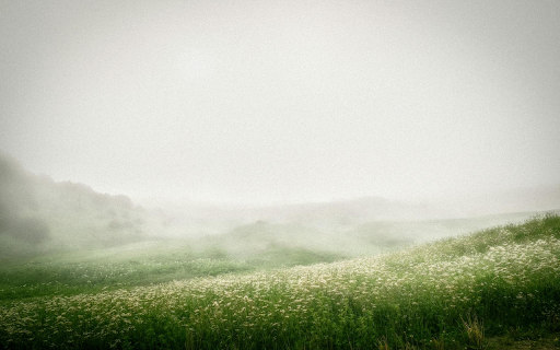 Flower Field and Dew screenshot 1