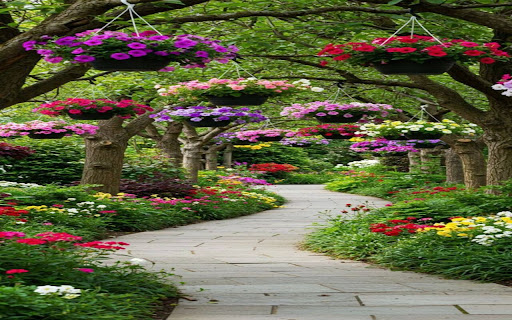 flower garden path wallpaper screenshot 1
