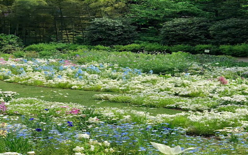 flower garden wallpaper screenshot 1