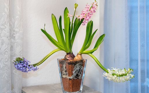 Flower pot and three flower branches screenshot 1