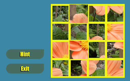 Flower Shuffle screenshot 1