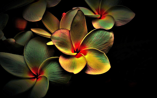 Flowers bloom brightly screenshot 1