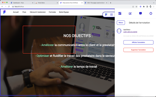 Fluis extension screenshot 1