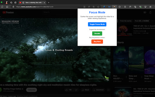 Focus YouTube Video screenshot 1