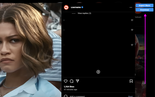 Follower Sudo - Export Instagram Account Followers for FREE screenshot 1