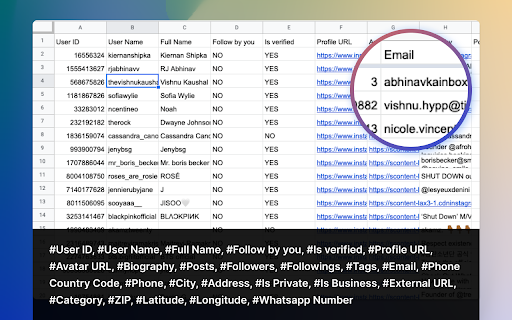 FollowFox - IG Follower Export Tool (Email) screenshot 1