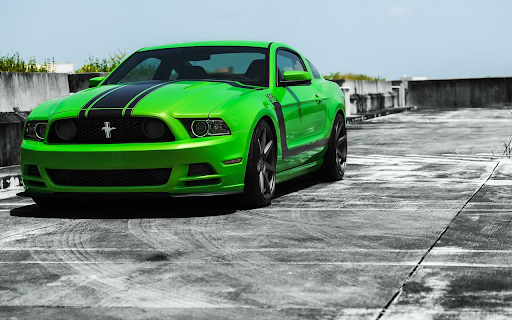 Ford Mustang 302 Boss screenshot 1