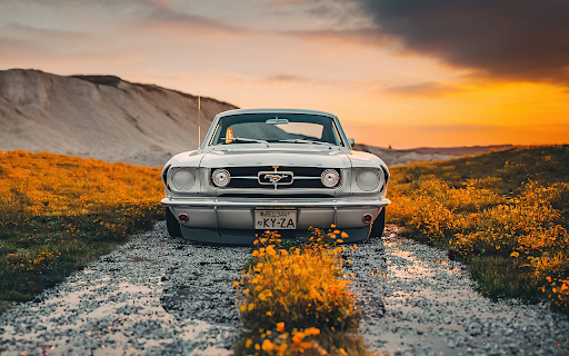 Ford Mustang BBS screenshot 1