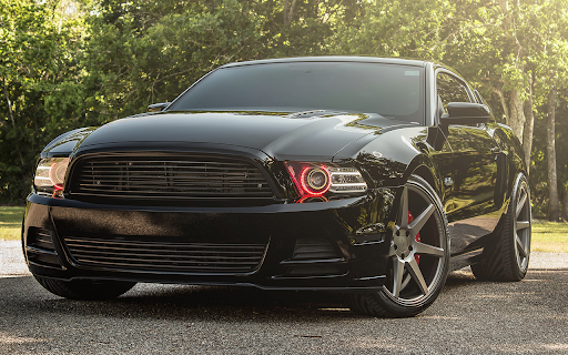 Ford Mustang GT 5.0 screenshot 1