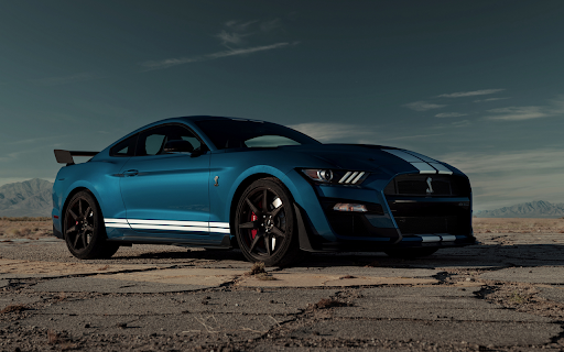 Ford Shelby screenshot 1