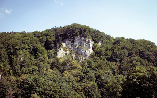 Forest and Rocky Mountains screenshot 1