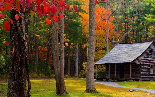 Forest log cabin screenshot 1