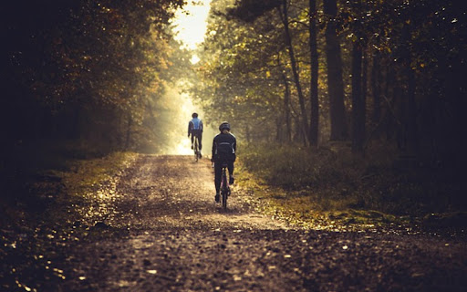 FOREST ROAD Theme screenshot 1