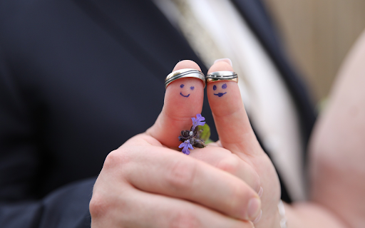 Fresh green succulents screenshot 1