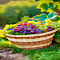 Fruit basket wallpaper logo