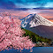 Fuji mountain with cherry blossoms in spring, Japan logo