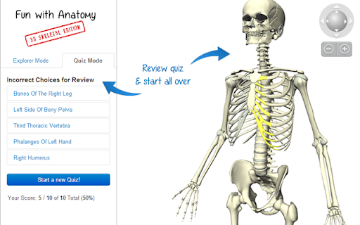 Fun with Anatomy: 3D Skeletal Edition screenshot 1