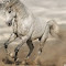 Galloping White Stallion logo