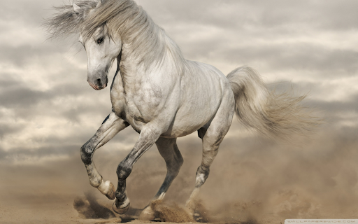 Galloping White Stallion screenshot 1