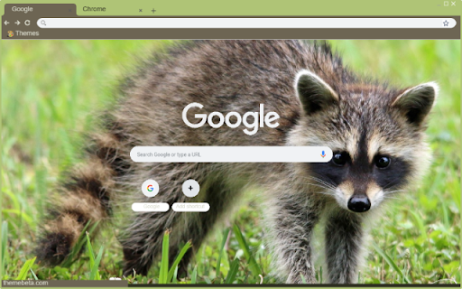 Gau Meo Raccoon screenshot 1