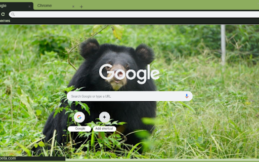 Gau ngua screenshot 1