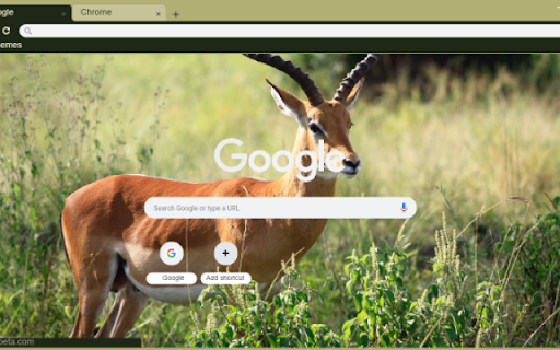 Gazelle screenshot 1