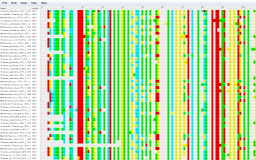 Genomic sequence viewer screenshot 1