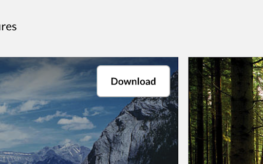 GetGetty Extension screenshot 1