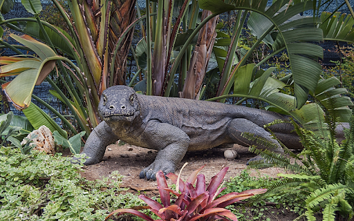 Giant lizard screenshot 1