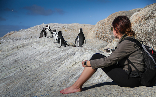 Girl and birds screenshot 1