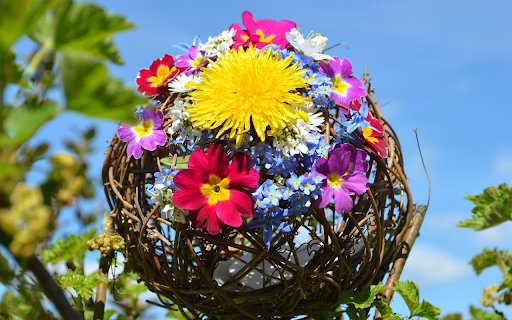 Glowing fresh flower ball screenshot 1