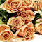 Golden brown roses logo