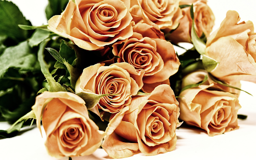 Golden brown roses screenshot 1
