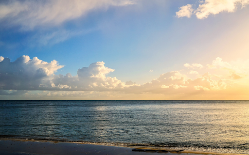 Golden Horizon screenshot 1