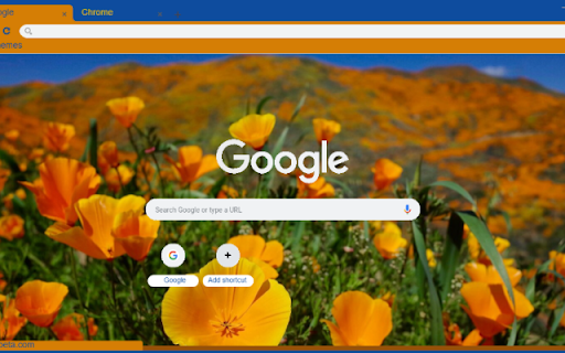 Golden Poppy screenshot 1