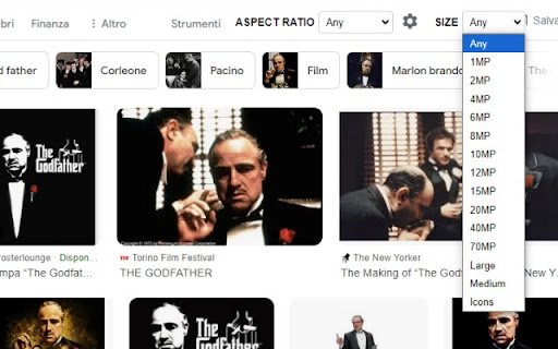 Google Images Enhancer screenshot 1
