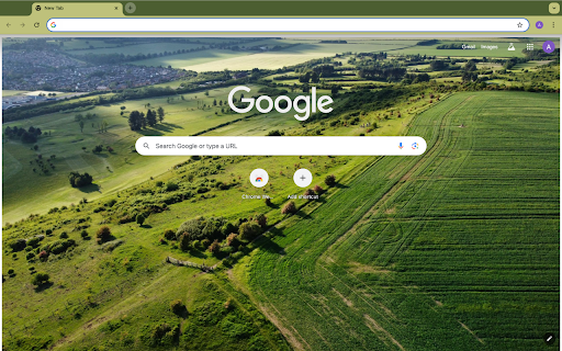 Grass field screenshot 1