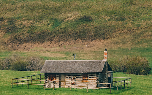 Grass field Theme screenshot 1