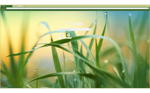 Grass raindrop screenshot 1