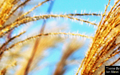 Grassland 2.2 screenshot 1