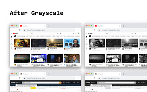 Grayscale | MVP screenshot 1