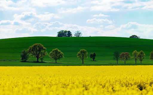 green and yellow screenshot 1